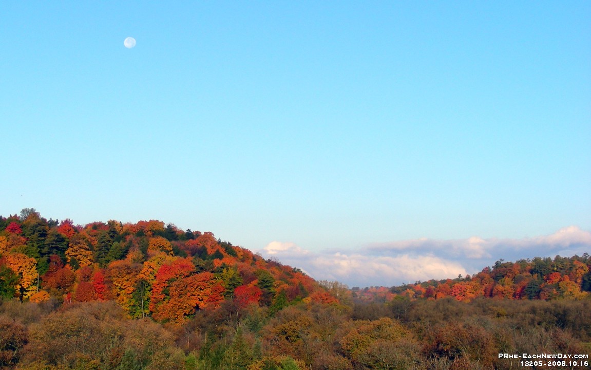 13205CrLe - Autumn colours in Rouge Valley Conservation Area